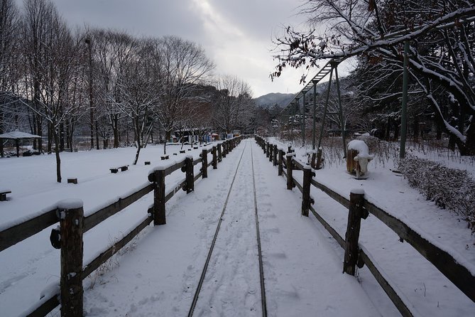 Private Tour Rail Bike & Nami Island & (Petite France or Garden of Morning Calm) - How the timing and transport affect your day