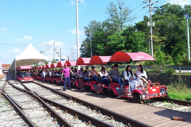 Private Tour Rail Bike & Nami Island & (Petite France or Garden of Morning Calm) - Who will get the most value from $196?