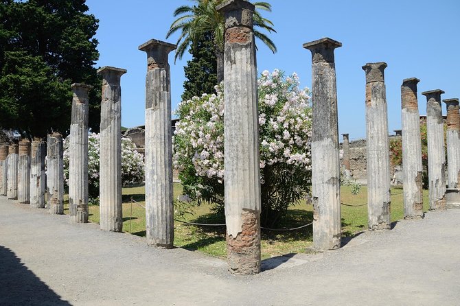 Private Tour Rome to Pompeii in private vehicle or fast train - House of the Vettii: private life and decoration