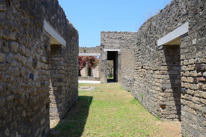 Private Tour Rome to Pompeii in private vehicle or fast train - Three hours inside Pompeii