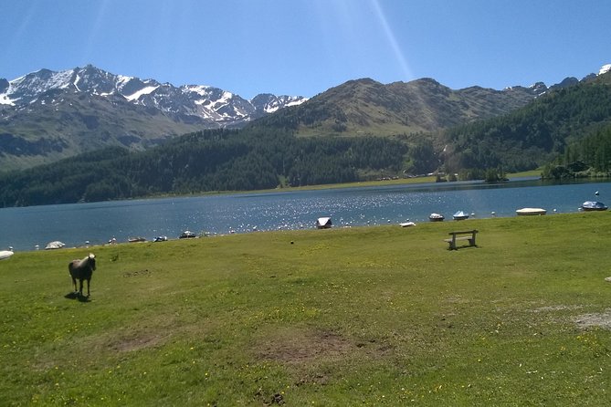 Private tour to Bernina train & Lake Como. Hotel pick-up - The value of a $1,245 private day