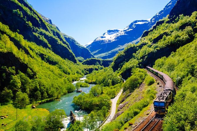 Private tour - Viking Village, Nærøyfjord Cruise and Flåm Railway - The Flåm Railway packs drama into 20 kilometers