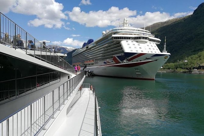 Private tour - Viking Village, Nærøyfjord Cruise and Flåm Railway - Myrdal connects you with the Bergen Railway