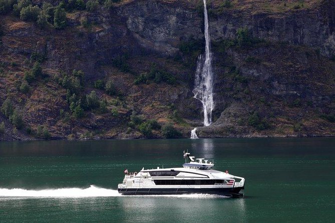 Private tour - Viking Village, Nærøyfjord Cruise & Flåm Railway - Myrdal Station and the Bergen Railway connection
