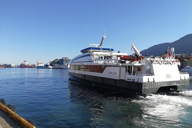 Private tour - Viking Village, Nærøyfjord Cruise & Flåm Railway - Voss and the road back to Bergen