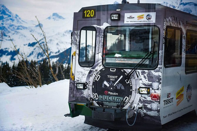 Private trip from Zurich to Jungfraujoch (The Top of Europe) - Reaching the Top of Europe