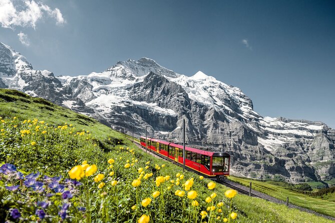 Private trip from Zurich to Jungfraujoch (The Top of Europe) - What the private format really gives you