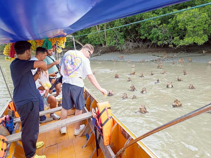 Private Unseen Mangrove Forest and Floating & Railway Market - Salt fields and the work behind a familiar ingredient