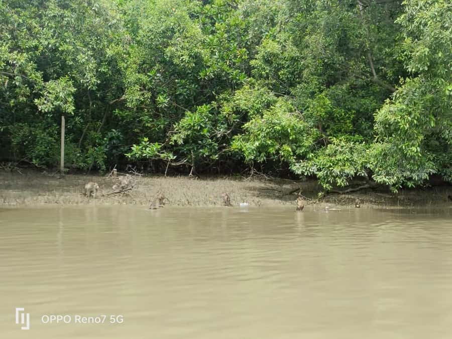 Private Unseen Mangrove Forest and Floating & Railway Market - Leaving Bangkok for the mangroves