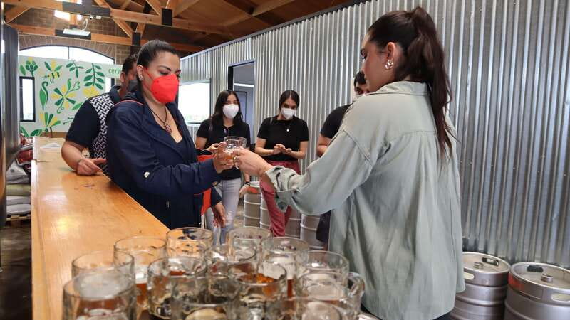 Puebla: Cholula Craft Beer Tour by Tram - A good fit for beer fans and first-time Cholula visitors
