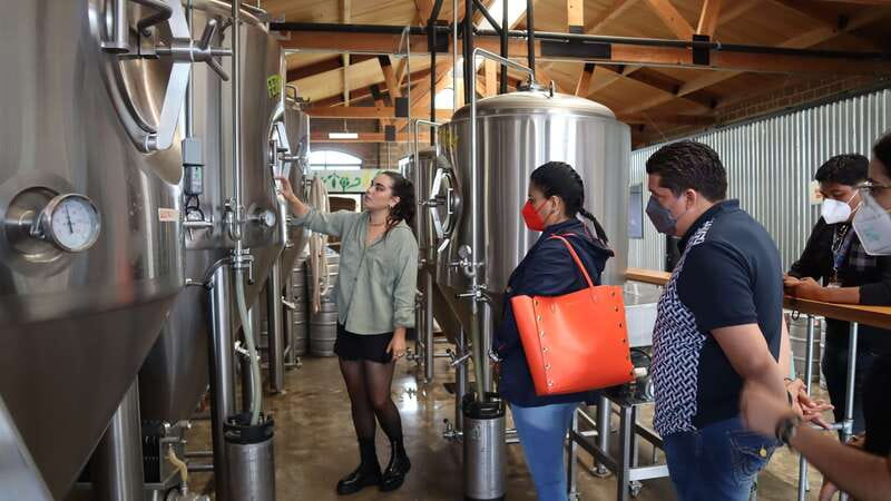 Puebla: Cholula Craft Beer Tour by Tram - Should you book the Cholula beer tram tour?