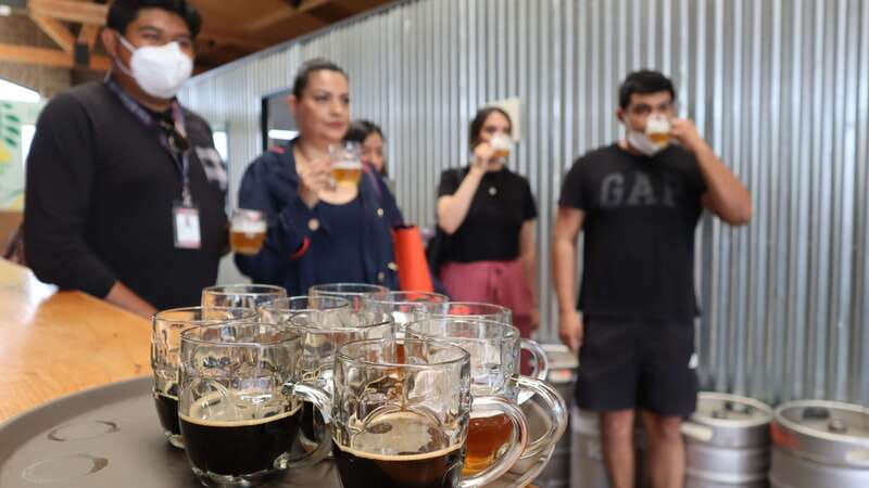 Puebla: Cholula Craft Beer Tour by Tram - Peanuts that keep the tasting moving