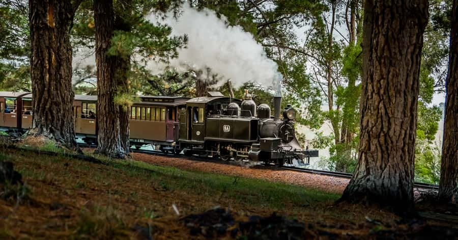 Puffing Billy Railway: Heritage Steam Train Journey - Key points to know before boarding
