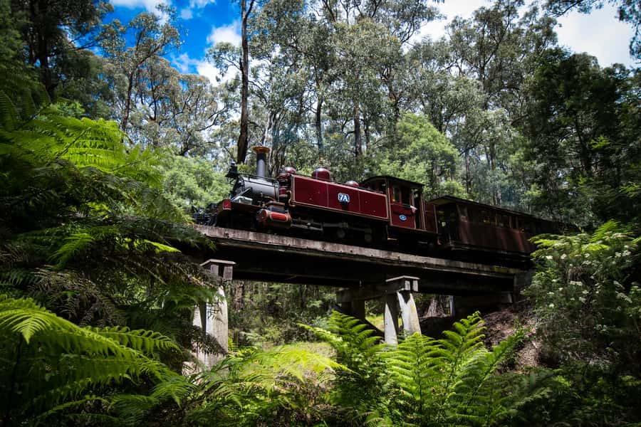 Puffing Billy Railway: Heritage Steam Train Journey - How to make the most of the volunteer experience