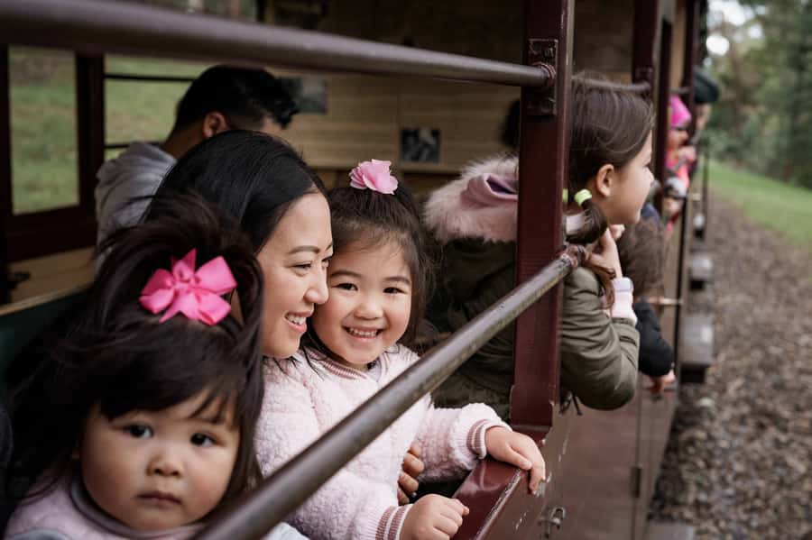 Puffing Billy Railway: Heritage Steam Train Journey - Who should book Puffing Billy