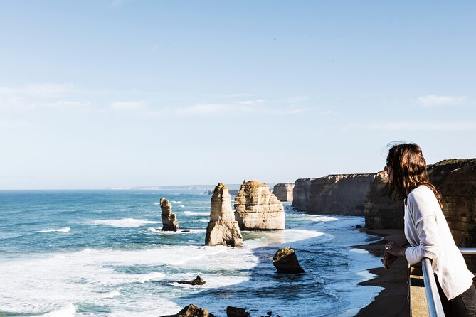 Puffing Billy Steam Train and Penguins Wildlife Tour - What the $164.25 price really covers