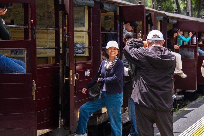 Puffing Billy Steam Train Experience - The Dandenong Ranges roll past the carriage