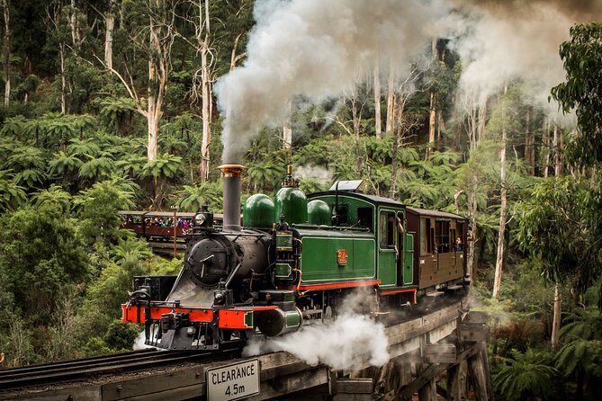 Puffing Billy Train and Phillip Island Penguin Parade Day Tour - Puffing Billy brings the fun early