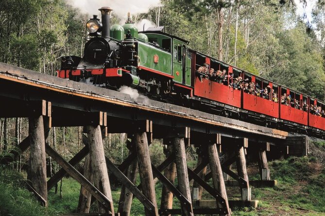 Puffing Billy Train and Phillip Island Penguin Parade Day Tour - The Penguin Parade is quieter and less theatrical than expected