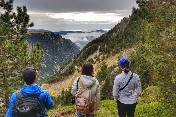 Pyrenees Mountain Train and Nature Walk - How much value do you get for $124.21?