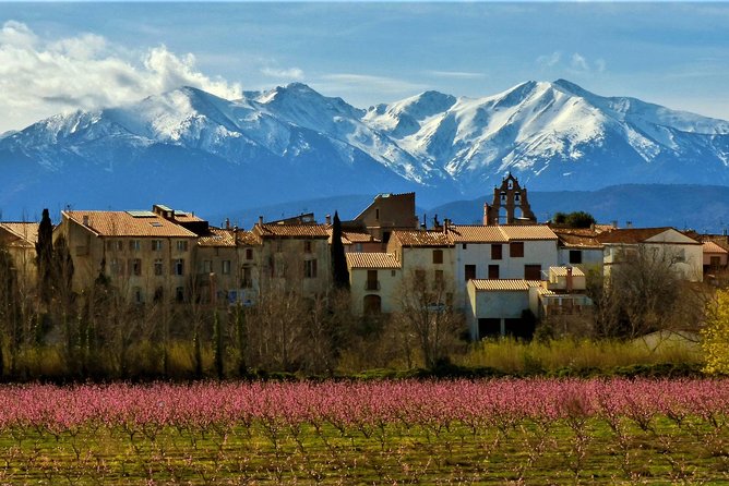 Pyrenees Private Tour from Barcelona with Easy Hike & Cogwheel Train - Riding the Cremallera de Núria
