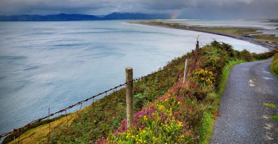 Rail Tour from Dublin: The Ring of Kerry - The train to Killarney