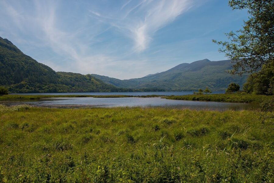 Rail Tour from Dublin: The Ring of Kerry - Killarney and the Ring of Kerry by coach