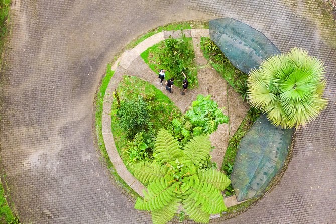 Rainforest Aerial Tram Half Day Pass – Braulio Carrillo Park - Accessibility, weather, and practical planning