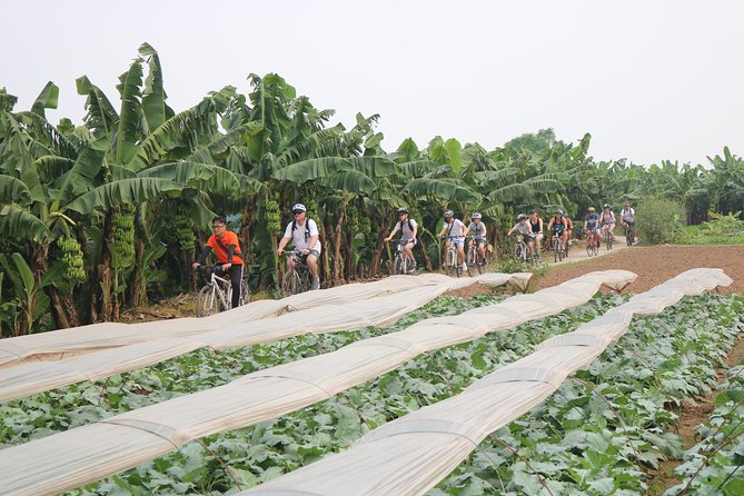 Red River island backroad, Rural Countyside Area and Train Street - Starting in Hanoi’s Old Quarter