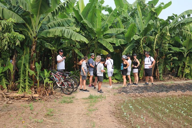 Red River island backroad, Rural Countyside Area and Train Street - Who will enjoy this cycling tour most