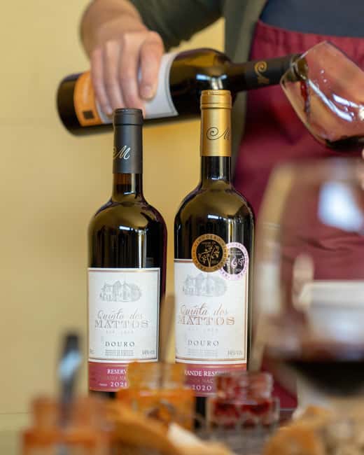 Régua: Wine tasting at a Quinta, traditional lunch, cruise, and train ride - Key points to know before booking