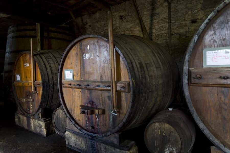 Régua: Wine tasting at a Quinta, traditional lunch, cruise, and train ride - Why this Régua day trip works so well