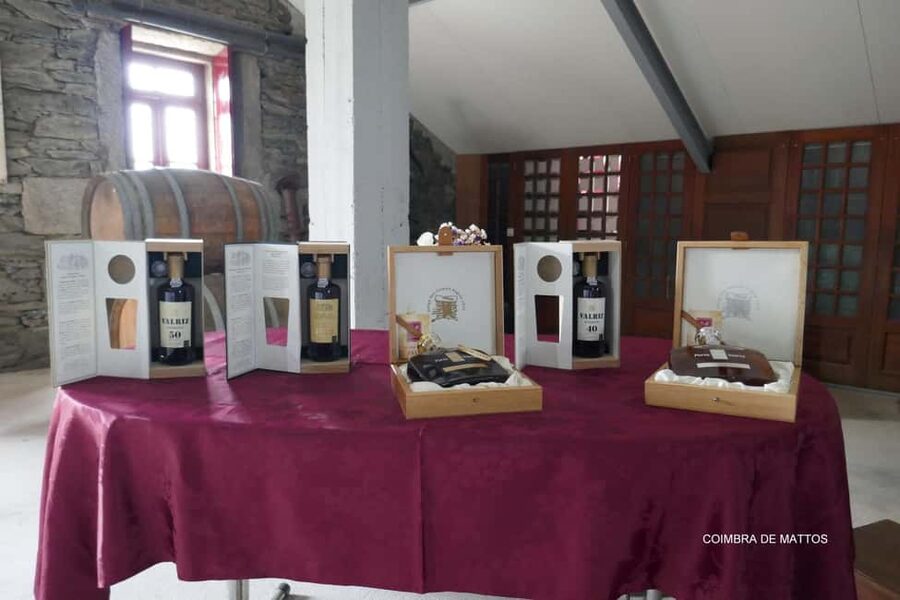 Régua: Wine tasting at a Quinta, traditional lunch, cruise, and train ride - The Régua to Pinhão cruise and the Douro dam
