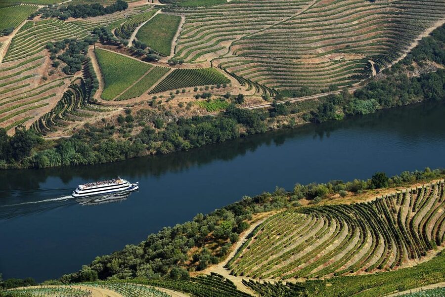 Régua: Wine tasting at a Quinta, traditional lunch, cruise, and train ride - Winter changes from November through March