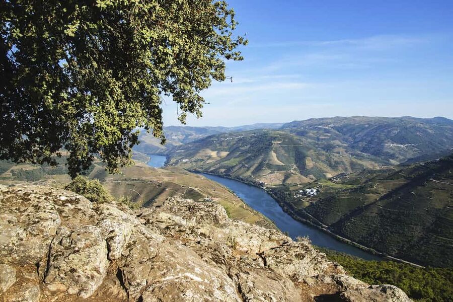 Régua: Wine tasting at a Quinta, traditional lunch, cruise, and train ride - Timing, comfort, and value
