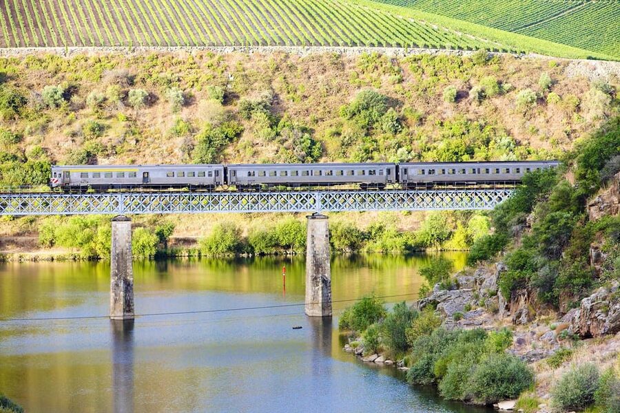 Régua: Wine tasting at a Quinta, traditional lunch, cruise, and train ride - Who should book this Douro experience?