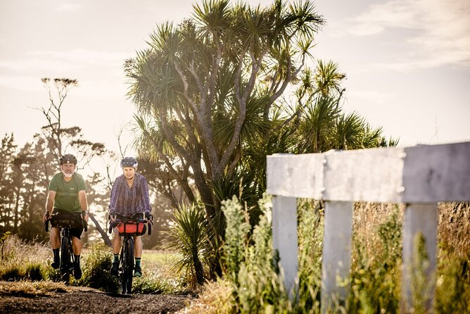 Remutaka Rail Trail eBike Explorer Cycle Tour - The descent to Cross Creek