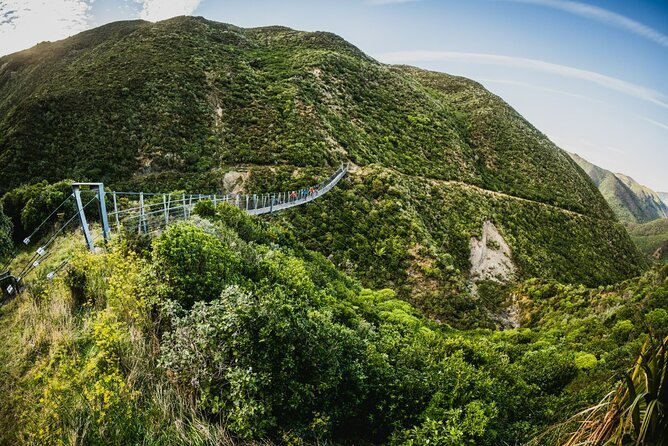 Remutaka Rail Trail Mountain Bike Explorer Cycle Tour - A Railway Line Turned Into a Forest Ride