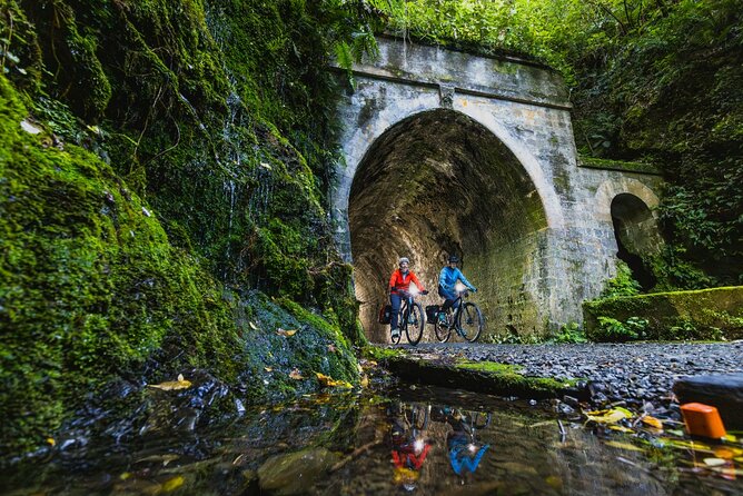 Remutaka Rail Trail Mountain Bike Explorer Cycle Tour - The 9:30am Start From Wellington
