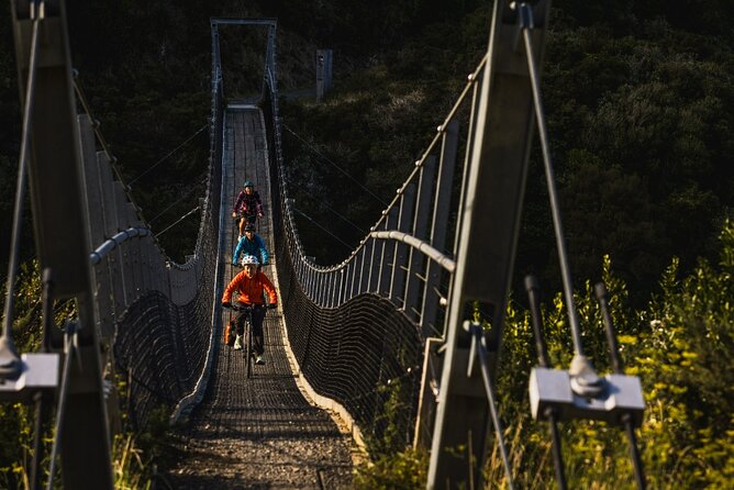 Remutaka Rail Trail Mountain Bike Explorer Cycle Tour - What the $124.11 Price Really Covers
