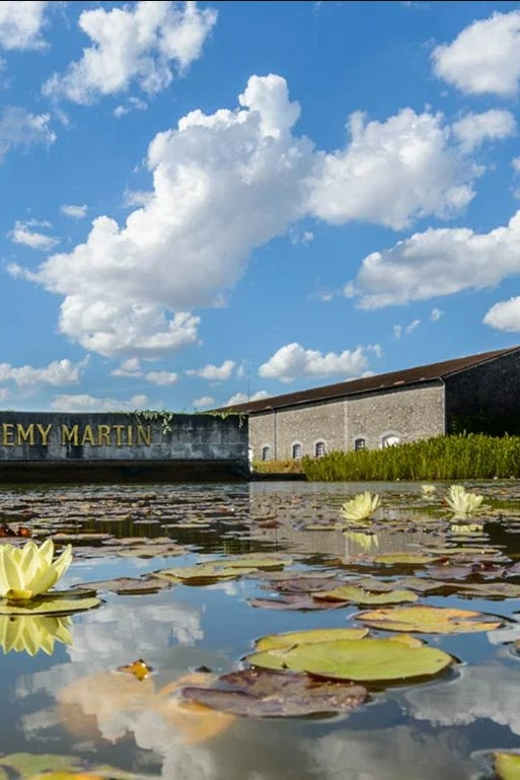 Rémy Martin Discover the production site by train - What the train adds, and where it falls short