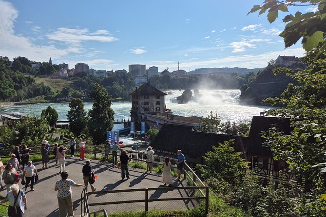 Rhine Falls Tour from Zurich by Train - What this Rhine Falls trip really offers