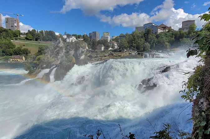 Rhine Falls Tour from Zurich by Train - Timing, group size, and practical details
