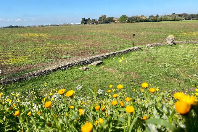 Rome: Castelli Romani Day Trip by Train and E-Bike - Leaving Rome by train at 9:00 a.m.