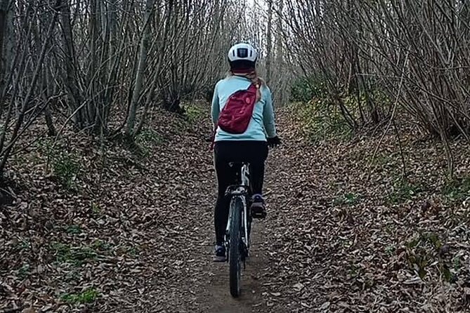 Rome: Castelli Romani Day Trip by Train and E-Bike - Who should book this ride?