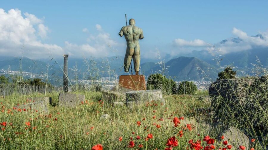 Rome: Pompeii Tour with Wine and Lunch by High Speed Train - Why the train makes this Rome day trip work