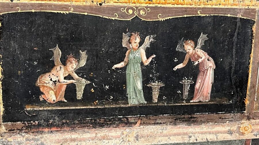 Rome: Pompeii Tour with Wine and Lunch by High Speed Train - A vineyard lunch near Pompeii