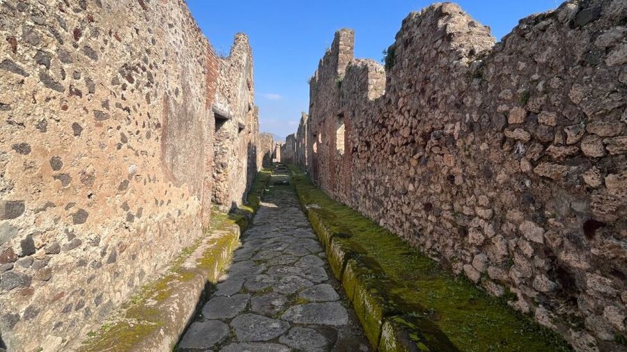Rome: Pompeii Tour with Wine and Lunch by High Speed Train - What the $239 price covers