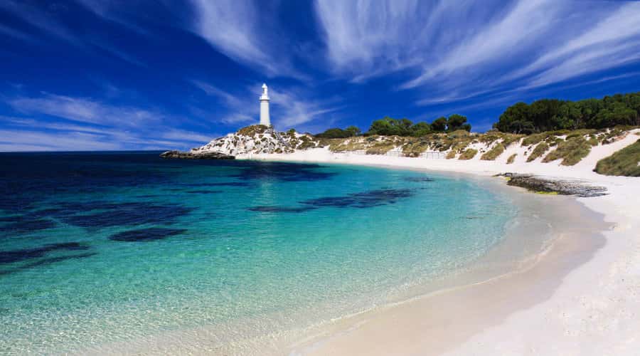 Rottnest Island: Grand Bus and Train Tour with Lunch - Five things worth knowing before you book