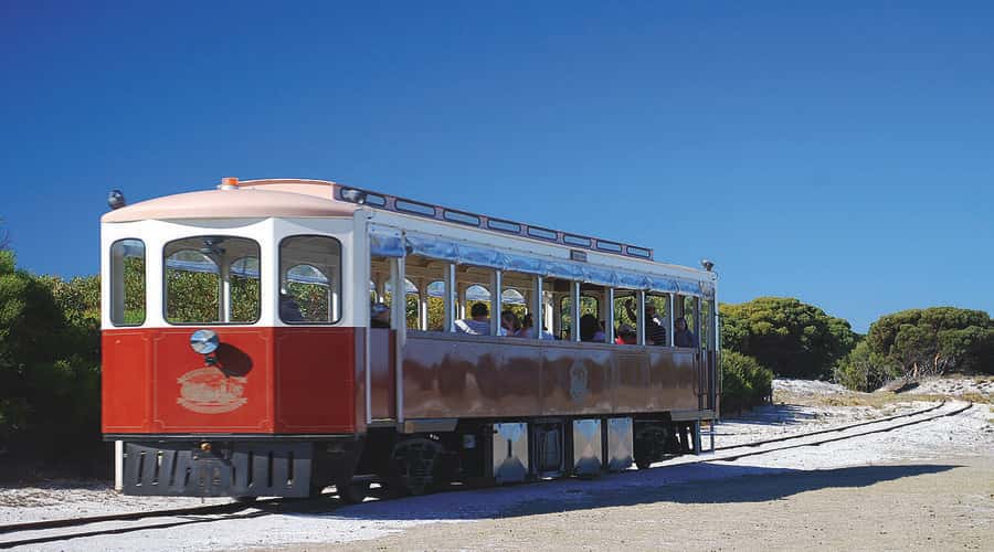 Rottnest Island: Grand Bus and Train Tour with Lunch - The bus circuit: beaches, salt lakes, and island scenery